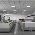 Modern Commercial Kitchen Layout With Stainless Steel Worktables Ceiling Lights And Vegetable Baskets
