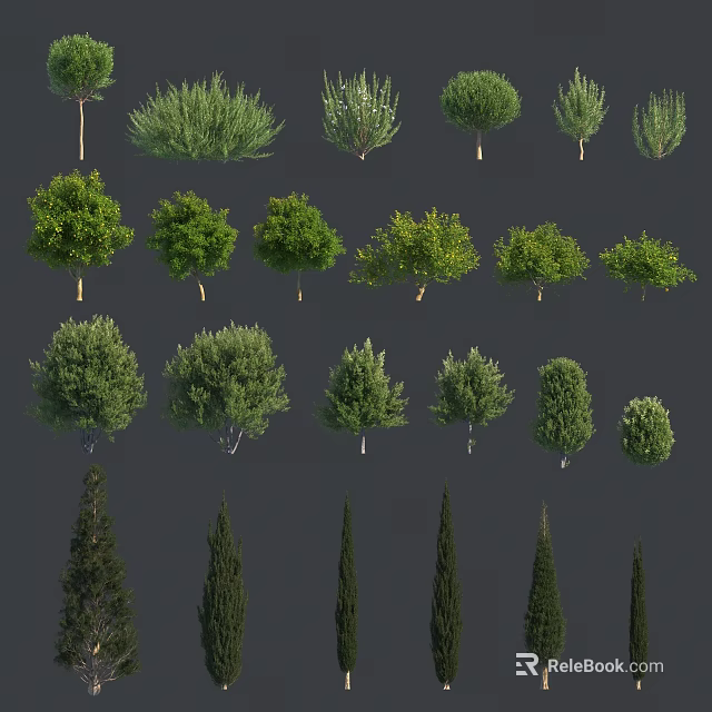 Various Arbor Tree Species with Green Foliage for Garden and Landscape Design 3d model 