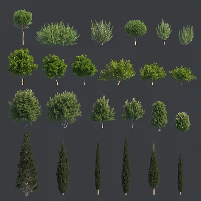 Various Arbor Tree Species with Green Foliage for Garden and Landscape Design 3d model