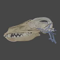 3D Rendered Animal Skull Anatomy Showing Internal Vascular System Details