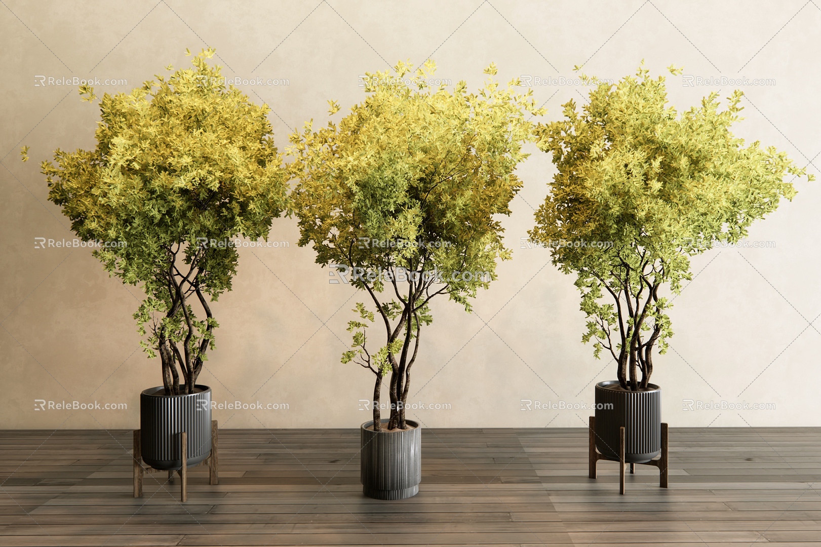 plant potted plant indoor potted arbor 3d model