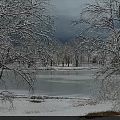 Scenic Winter Garden Landscape With Snow Covered Trees And Frozen Lake View