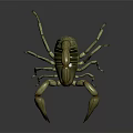 Scorpion 3D Model With Detailed Body Curved Tail And Sharp Claws On Black Reflective Surface