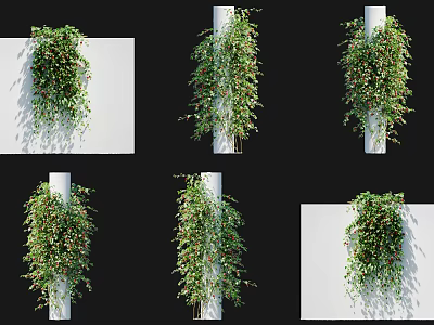 Lush Green Decorative Vines Hanging Climbing Walls And Wrapping White Pillars 3d model