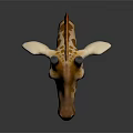 Detailed 3D Giraffe Head Model With Spotted Pattern Ears Horns And Realistic Design