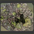 Natural Landscape Model With Green Moss Colorful Ground And Black Rocks