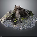 Rustic Tree Stump With Green Moss And Gray Gravel On Textured Base