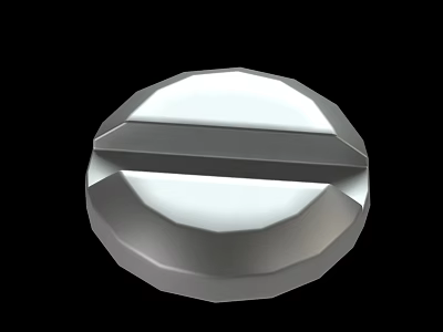 Shiny Polished Round Metal Slotted Screw Head With Smooth Surface 3d model
