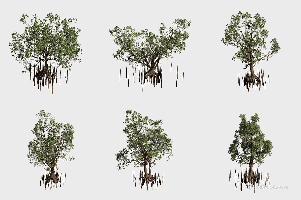 Shrubs With Prop Roots Showing Various Natural Growth Forms 3d model