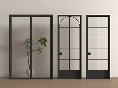 Black Double Doors With Glass Panels And Green Plant In Interior Scene 3d model