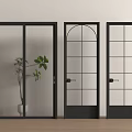 Black Double Doors With Glass Panels And Green Plant In Interior Scene