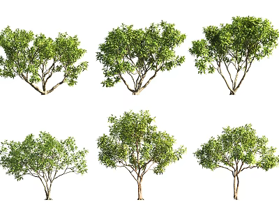 Modern Tree Landscape Tree Catalpa Willow 3d model