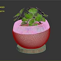 Lush Green Leafy Plant in White Ceramic Pot with Wooden Base