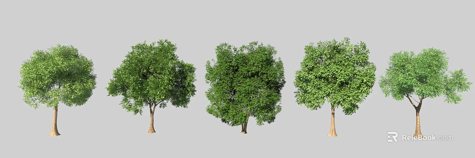 Three Arbor Trees With Green Foliage Different Shapes Brown Trunks And Gray Background 3d model