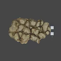Natural Rock Specimen With Rough Surface And Measuring Scale 3d model