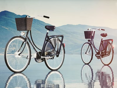 Two Classic Bicycles With Baskets Parked Near Waterfront Mountain Sky Background 3d model
