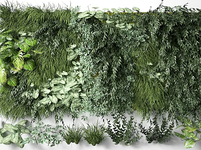 Natural Living Plant Wall Design With Various Green Foliage Grasses And Vines 3d model