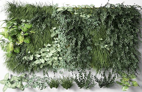 Modern Plant Wall 3d model