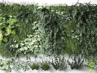 Modern Plant Wall 3d model