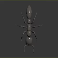 Realistic Metallic Ant 3D Model With Shiny Surface On Dark Background 3d model