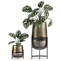 Lush Tropical Potted Plants In Golden Metallic Planters With Stands For Indoor Decor