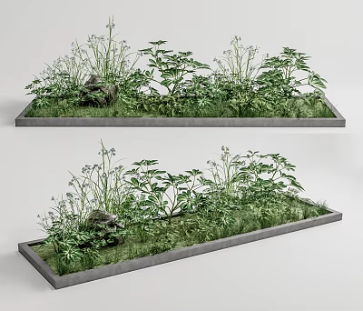 Lush Green Shrubs Growing In Rectangular Planters With Grass And Stones 3d model