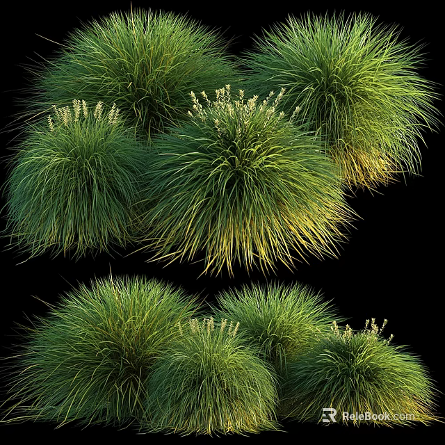 Lush Green Clumping Grasses With Puffy Spherical Foliage And Golden Tips 3d model 