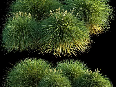 Lush Green Clumping Grasses With Puffy Spherical Foliage And Golden Tips 3d model