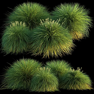 Lush Green Clumping Grasses With Puffy Spherical Foliage And Golden Tips 3d model
