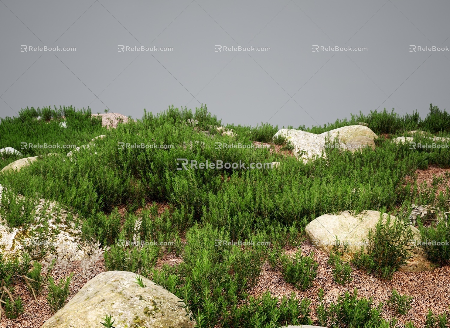 Modern Grassland Shrubs Grass Green Plant Shrubs 3d model