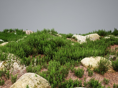 Modern Grassland Shrubs Grass Green Plant Shrubs 3d model