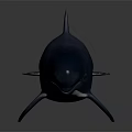 Sleek Dark Blue Dolphin With Smooth Skin Swimming In Deep Ocean Water