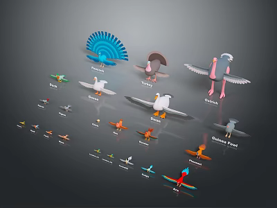 Showcasing Various Bird Species Including Turkey Goose Ostrich Quail and Penguin 3d model