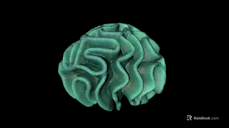 Green Brain Shaped Aquatic Animal With Ruffled Texture On Black Background 3d model 