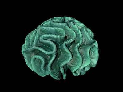 Green Brain Shaped Aquatic Animal With Ruffled Texture On Black Background 3d model