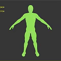Green Human Limbs Model With Detailed Muscle Structure In Extended Pose 3d model