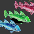 Colorful Aquatic Animal Fish Toys in Pink Green Blue and Various Sizes