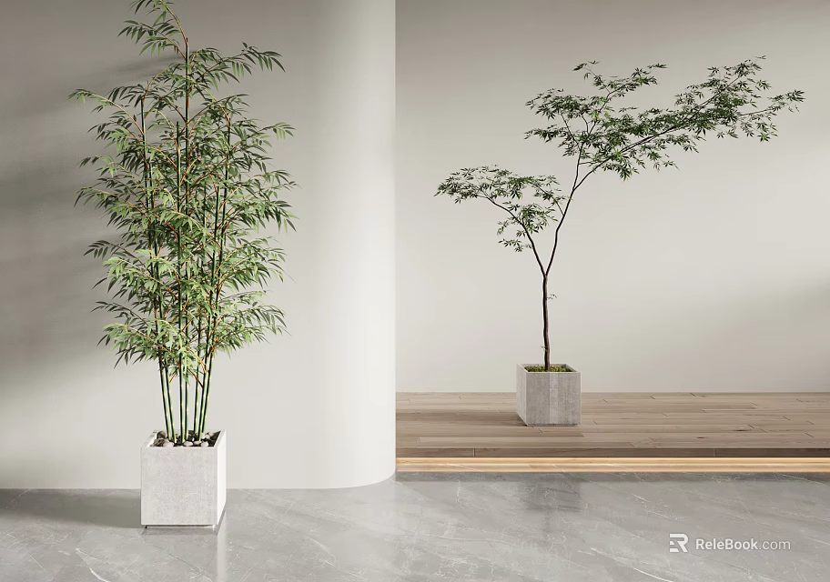 Potted Bamboo and Tree Plants in Modern Interior With White Gray Square Pots Minimalist Decor 3d model 