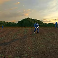 Scenic Sunset Landscape Over Agricultural Field With Workers And Lush Trees