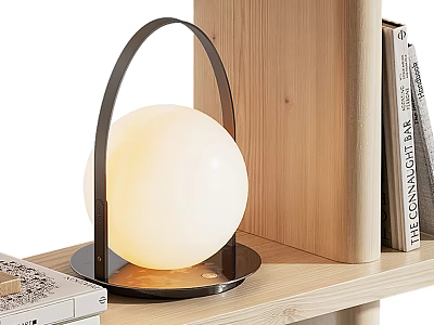 Modern Table Lamp With White Spherical Shade And Black Metal Frame On Wooden Bookshelf 3d model