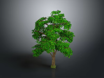 Lush Green Tree With Dense Foliage Brown Trunk And Gray Background 3d model