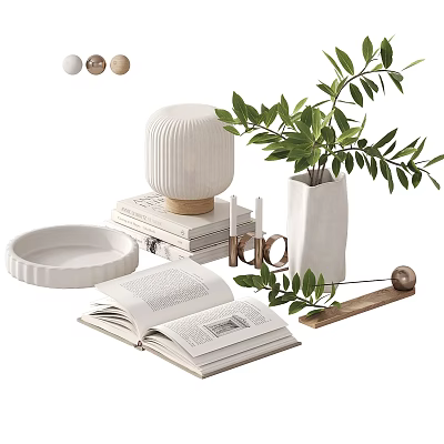 Modern Minimalist Decorative Ornament Set With Greenery Vase Open Books Ceramic Tray And Lamp 3d model