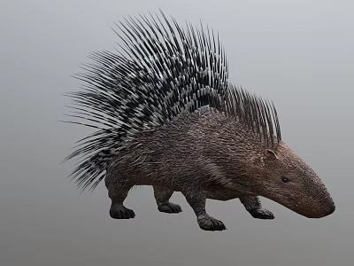 Realistic Porcupine With Long Black And White Quills And Brown Body 3d model