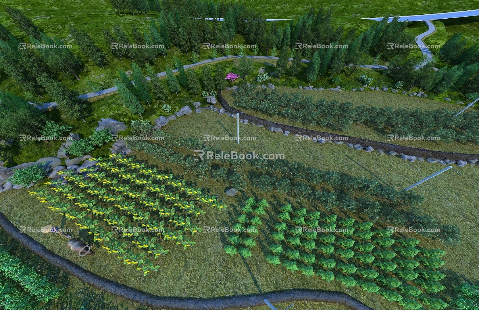 farmland vegetable field farming sunflower pastoral scenery 3d model