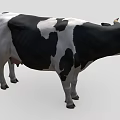 Black And White Spotted Cow Standing Isolated On Gray Background 3d model