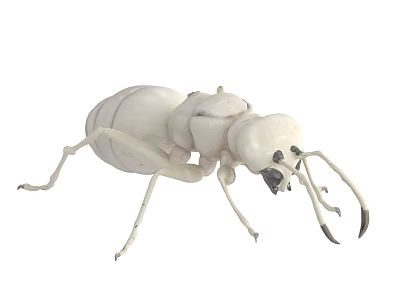 Detailed White Reptile 3D Rendered Model With Realistic Body And Leg Features 3d model