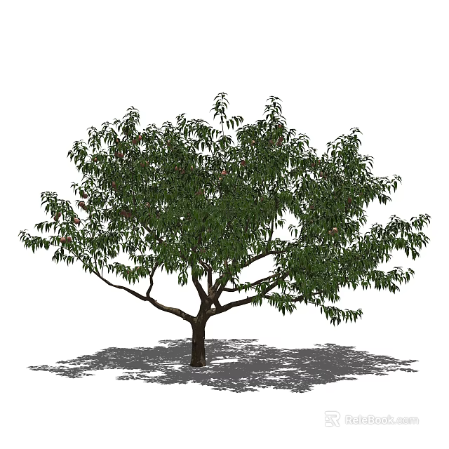 Arbor With Lush Green Leaves Strong Trunk And Natural Outdoor Shadow 3d model 
