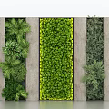 Modern Living Wall Design With Concrete Panels And Dense Green Plants On Gray Background