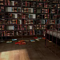 Room Interior With Full Bookshelves And Scattered Books On Floor And Bed