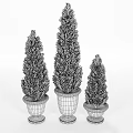 Conical Green Garden Plants In White Planters With Gold Base For Home Garden Decor